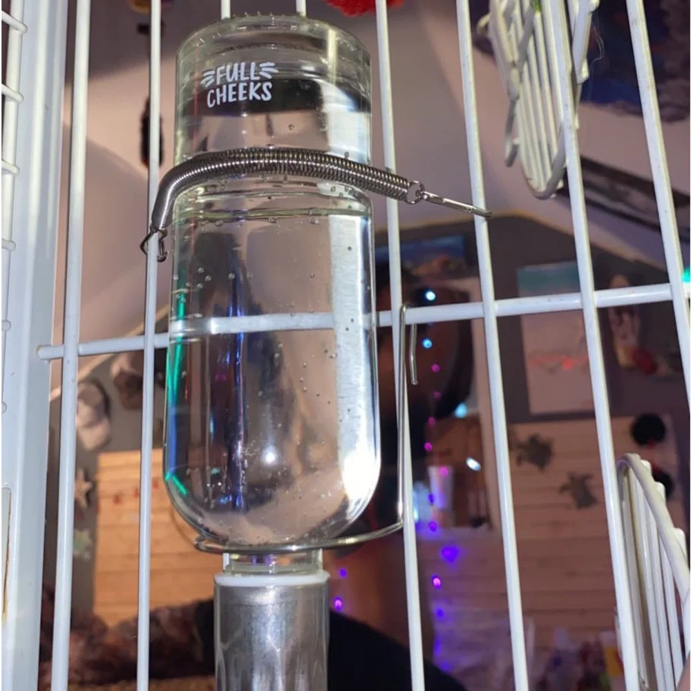 Water bottle feeder
